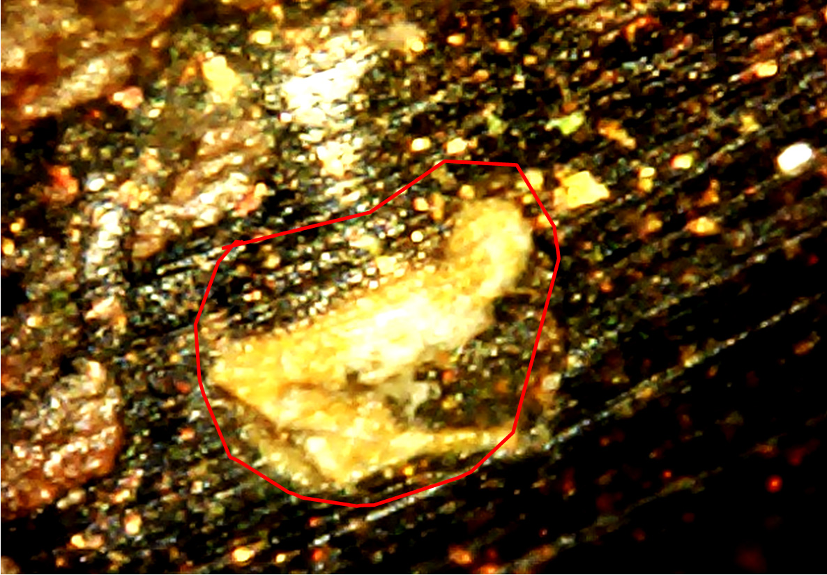 Эксплуатационные дефекты ЛКП кузова