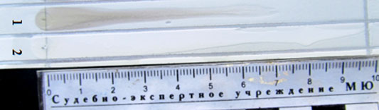 Экспертиза дизельного топлива и масла