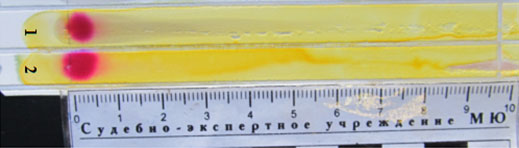 Экспертиза дизельного топлива и масла