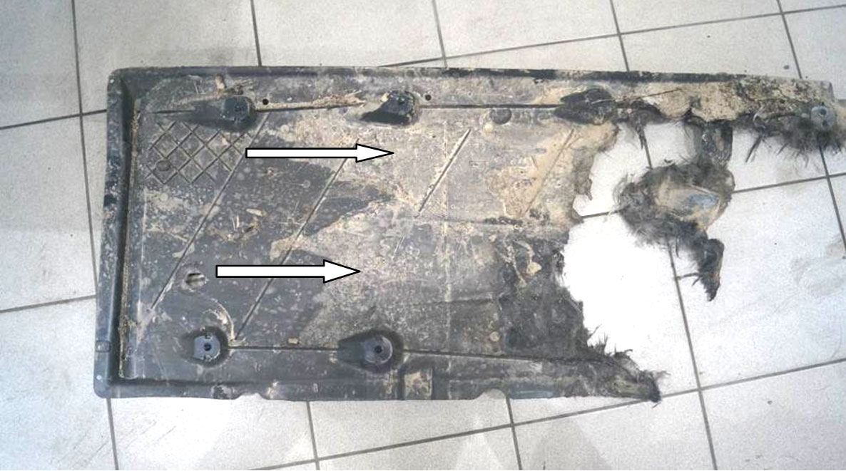 Возгорание автомобиля от катализатора