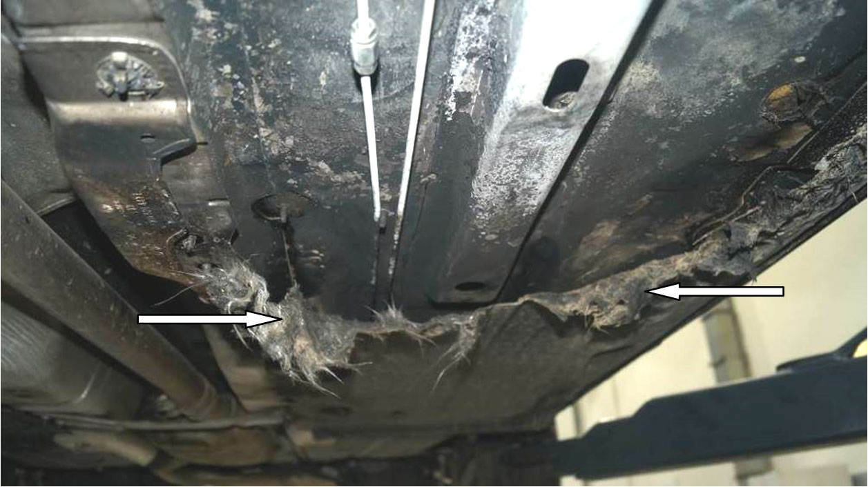 Возгорание автомобиля от катализатора