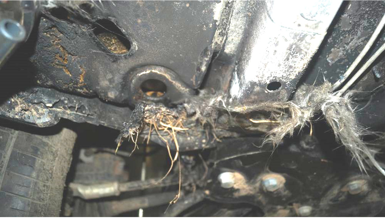 Возгорание автомобиля от катализатора