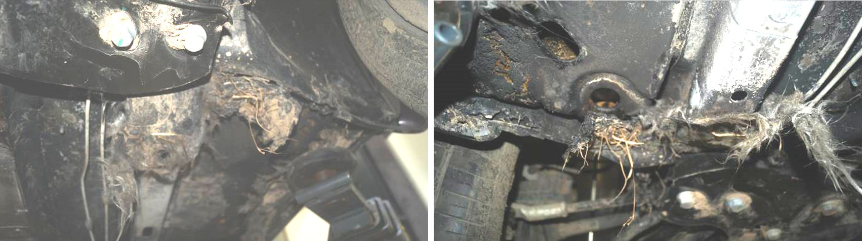 Возгорание автомобиля от катализатора