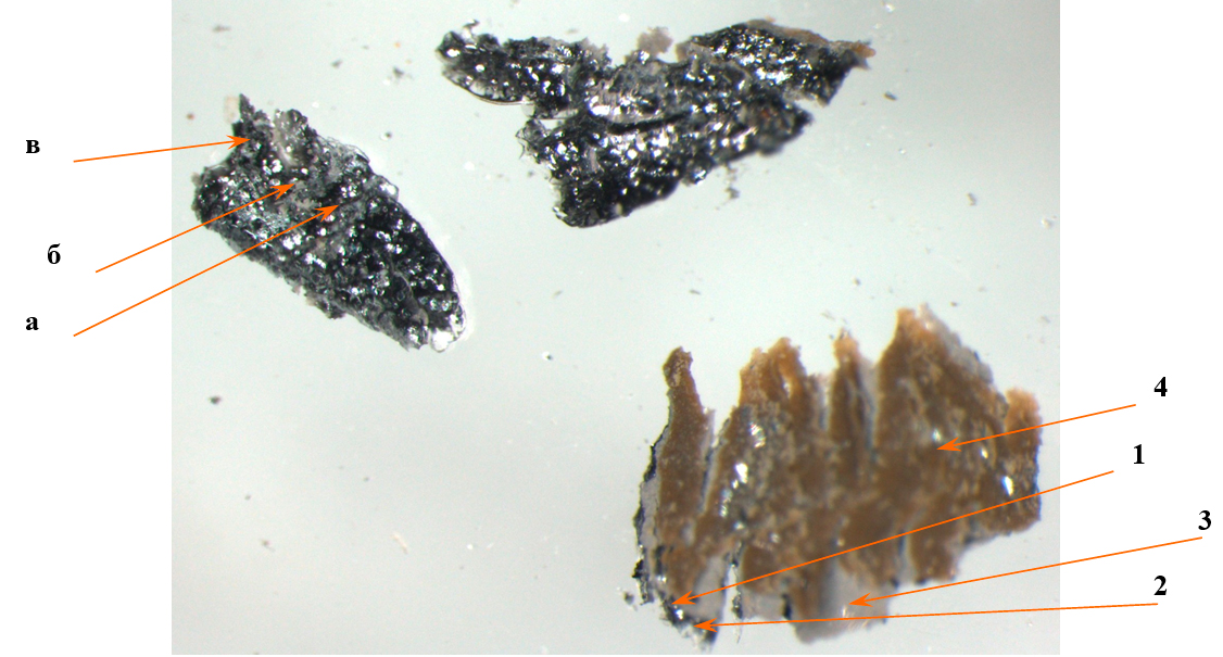 ФФОТО 10. Частицы ЛКП с левой боковины вверху (заводское ЛКП: 1 – лак, 2 –эмаль, 3 – промежуточный грунт, 4 - электрофорезный грунт), (а, б – ремонтное ЛКП, в – заводское ЛКП) (увеличение 40х)