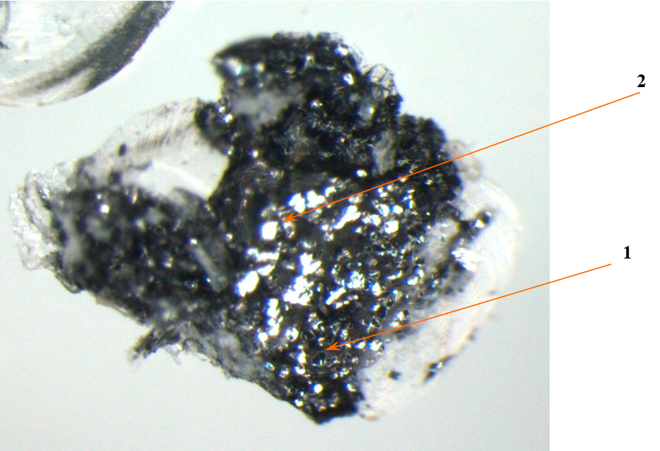 ФОТО 11. Частица ЛКП с правой боковины (1 – эффектные пигменты в заводской эмали, 2 – эффектные пигменты в эмали при перекраске) (увеличение 40х)