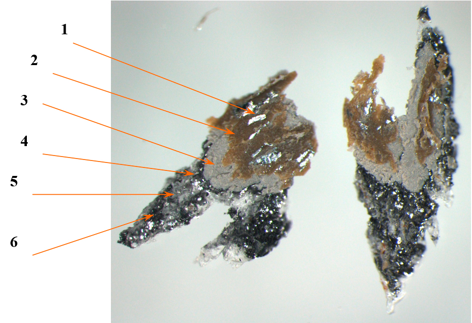 ФОТО 13. Частицы ЛКП с правой передней стойки вверху (1 – цинковый слой, 2 - электрофорезный грунт, 3 – промежуточный грунт, 4 – заводские эмаль с лаком, 5 – ремонтные лак с эмалью, 6 – ремонтные лак с эмалью) (увеличение 40х)