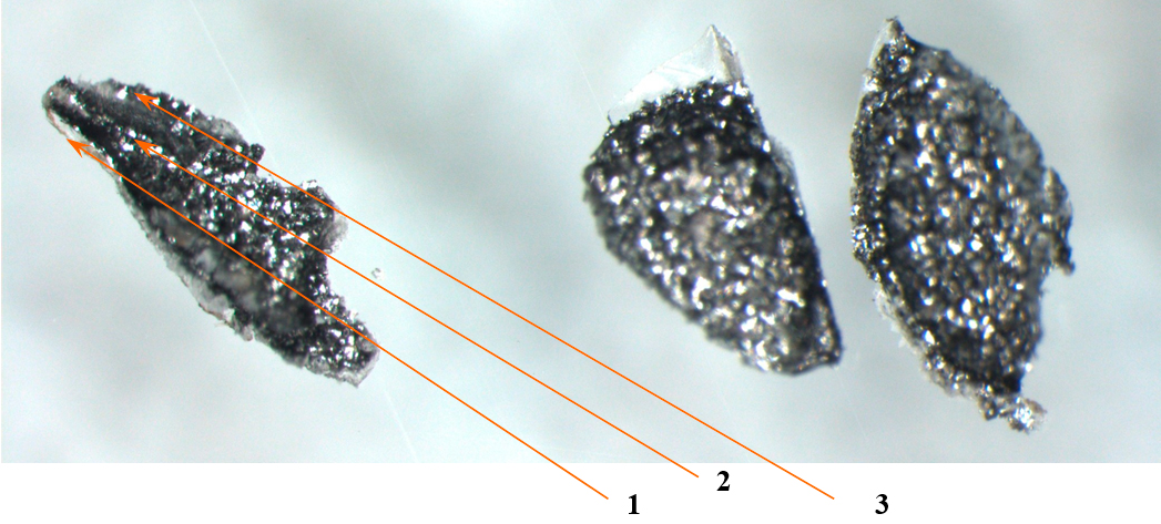 ФОТО 9. Частицы ЛКП с капота (1, 2 – ремонтное ЛКП, 3 – заводское ЛКП) (увеличение 32х)