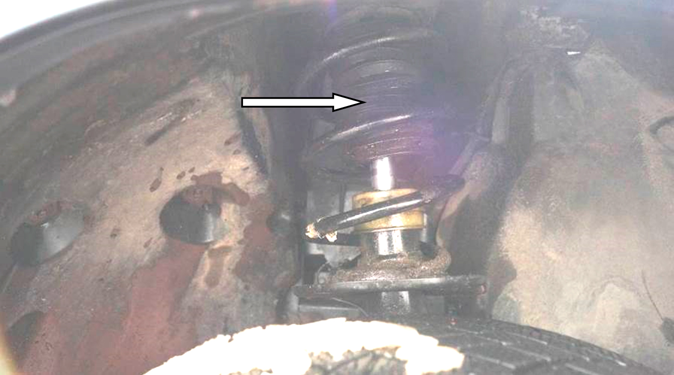 Фото 5. Пыльник амортизатора показан белой стрелкой