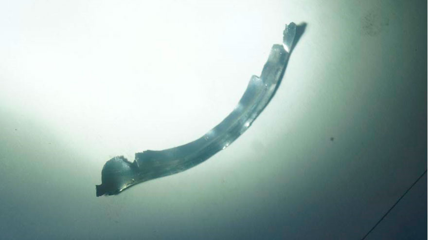 Фото 11. Фрагмент металла в виде тонкой ленты