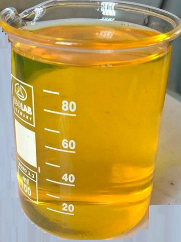 Фото 1. Внешний вид представленной на исследование жидкости