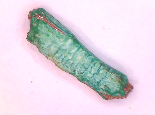 Фото 31. Следов перегрева жил (изменения цвета) и разрушений во фрагменте остатка окисленной электропроводки (контактного соединения) не зафиксировано (вид через микроскоп – увеличение в 20 раз).