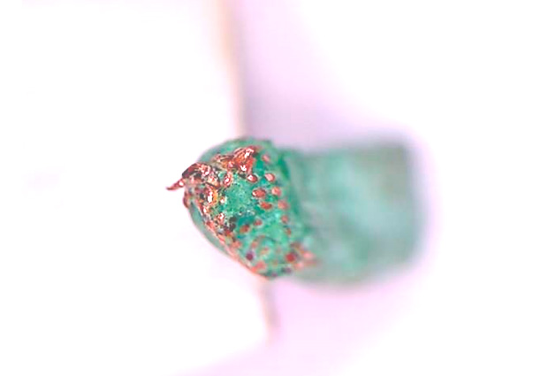 Фото 32. Следов перегрева жил (изменения цвета) и разрушений во фрагменте остатка окисленной электропроводки (контактного соединения) не зафиксировано (вид через микроскоп – увеличение в 20 раз).