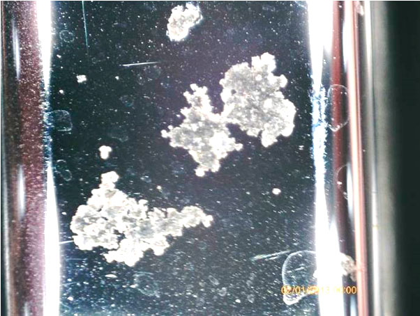 Фото 31. Общий вид типичных коррозионных повреждений на хромированных решетках передних дверей в поле зрения портативного цифрового микроскопа.