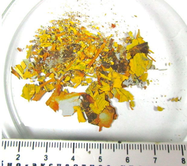 Фото 1. Внешний вид двухслойного лакокрасочного покрытия с фронтальной части переднего бампера автомобиля «КИА», соскобы которого представлены на исследование.