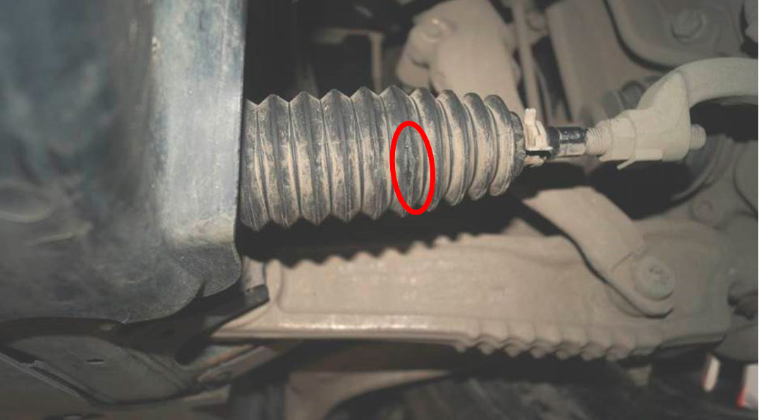 Фото 8. Локализация трещины пыльника (гофры).