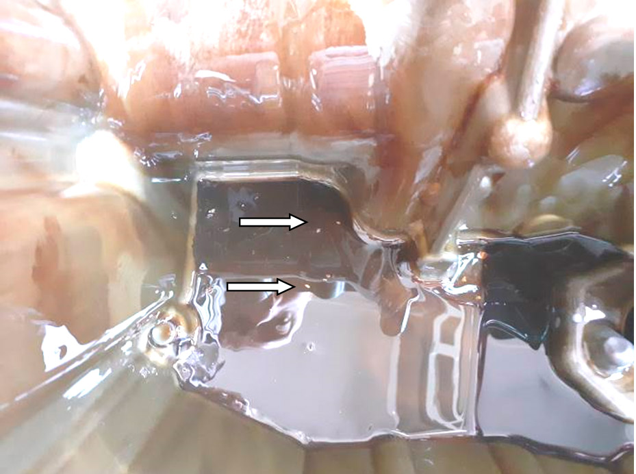 Фото 16. Фрагменты износа вкладышей в масляном поддоне.