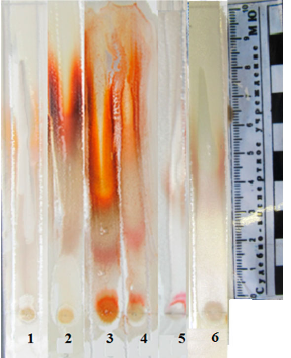 Фото 4. ТСХ хроматограмма после обработки реактивом ФСК. Пластины «Силуфол». Система октан-бензол (5:1).