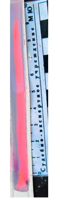 Фото 7. Тонкослойная хроматограмма после обработки раствором 0,05 % дитизона в хлороформе. Система октан – бензол (5:1).