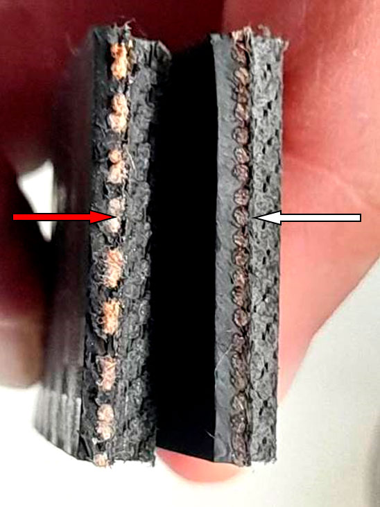 Фото 11. Разрез и корды разорванного и нового ремня ГРМ (красной стрелкой показан разорванный ремень, а белой стрелкой новый ремень)