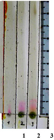 Фото 18. Хроматограмма на пластинке «Силуфол» после обработки 0,1% спиртовым раствором п-диметиламинокоричного альдегида, подкисленного соляной кислотой.