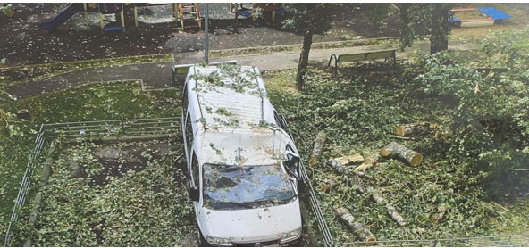 Фото 45. Автомобиль после того, как убрали упавшее дерево