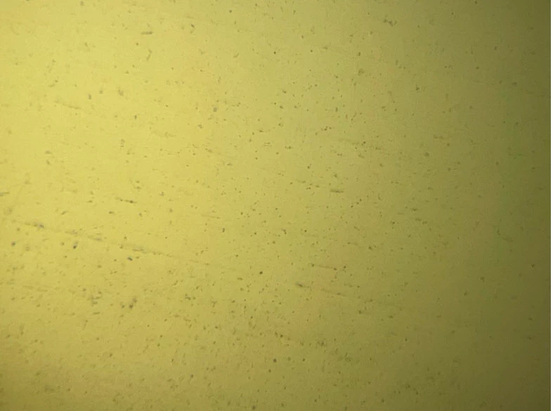 Фото 4. Внешний вид микроструктуры исследуемой пружины до травления в режиме увеличения Х250.