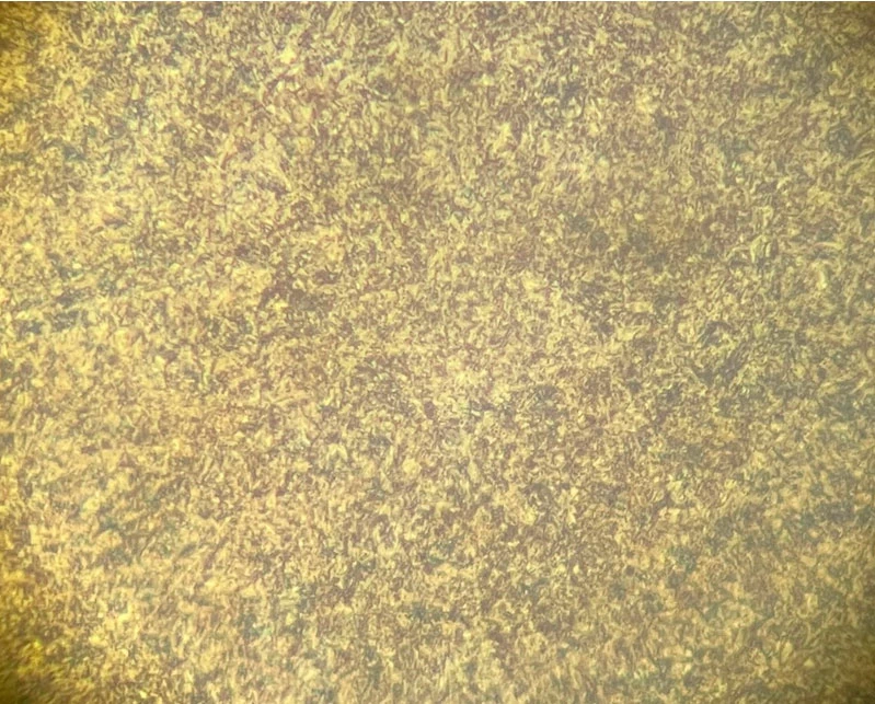 Фото 5. Внешний вид микроструктуры исследуемой пружины после травления в режиме увеличения Х500.