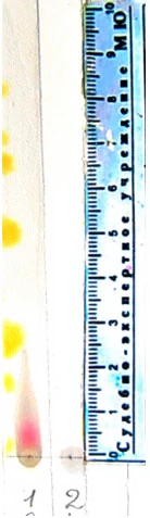 Фото 11. Тонкослойная хроматограмма после обработки 0,1% спиртовым раствором п-диметиламинокоричного альдегида, подкисленного соляной кислотой. Система октан – бензол (5:1).
