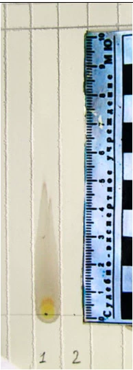 Фото 5. Тонкослойная хроматограмма при визуальном осмотре