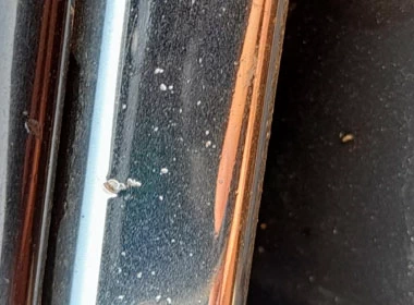 Фото 23. Сколы на хромированном покрытии решётки радиатора