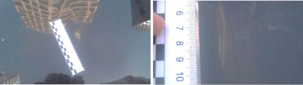 Фото 10,11. Задиры, потёртости, царапины и риски на ЛКП капота