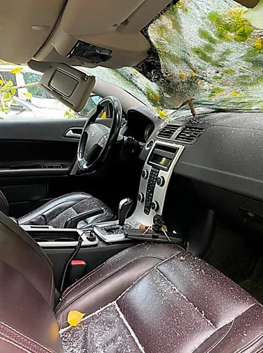 Фото 128. Салон автомобиля и упавшеее на него дерево