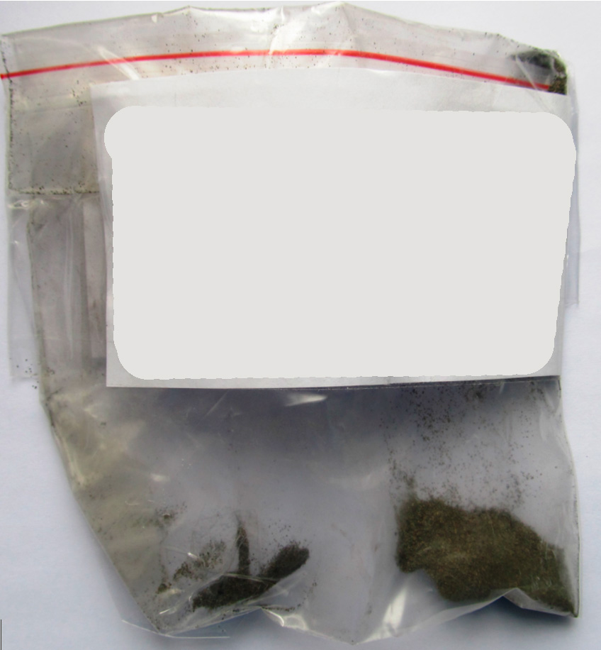 Фото 1. Внешний вид упаковки с образцом пробы каталитического нейтрализатора выхлопных газов автомобиля