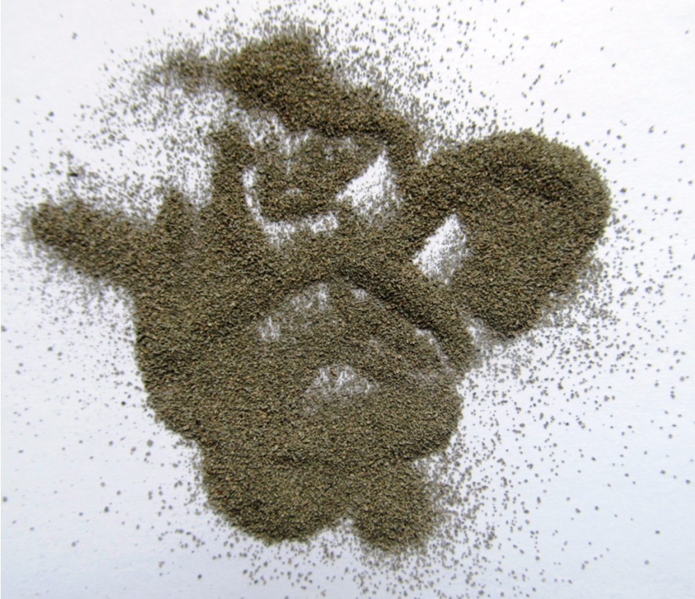 Фото 2. Внешний вид образца пробы каталитического нейтрализатора выхлопных газов автомобиля