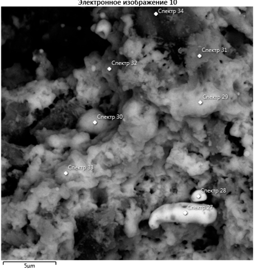 Рис. 5. Общий вид электронного изображения участка 5 частиц катализатора, изображение №10