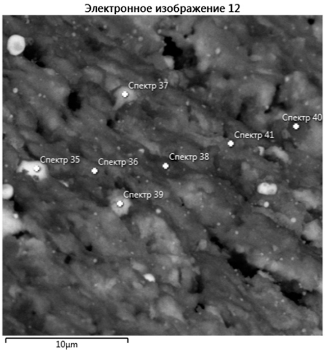 Рис. 7. . Общий вид электронного изображения участка 6 частиц катализатора, электронное изображение №12