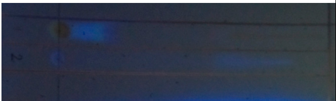 Фото 9. Тонкослойная хроматограмма при осмотре в УФ- лучах с длиной волны 365 нм