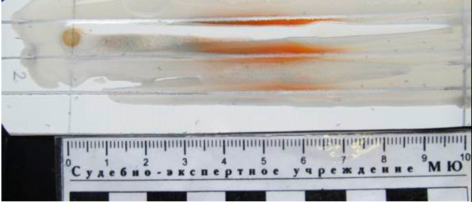 Фото 10. Тонкослойная хроматограмма после обработки реактивом ФСК