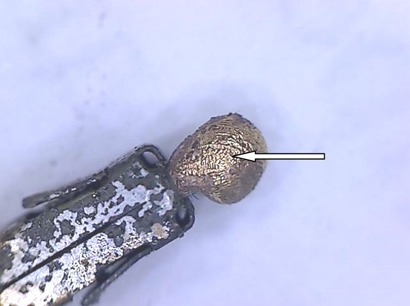 Перегрев двигателя