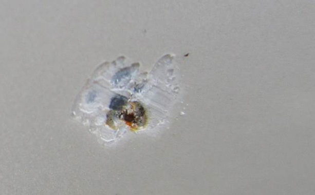 Дефекты лакокрасочного покрытия