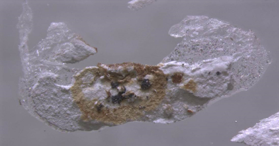 Дефекты лакокрасочного покрытия