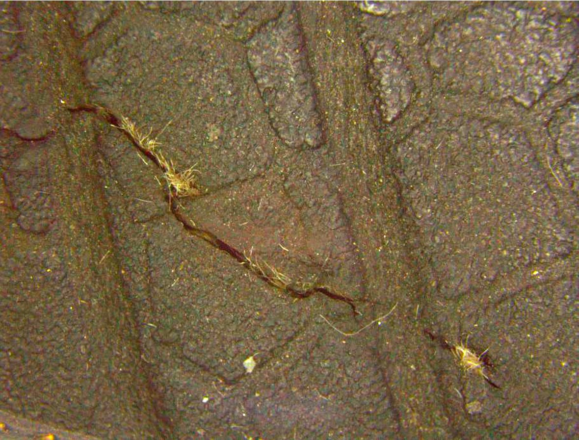 Дефект шины