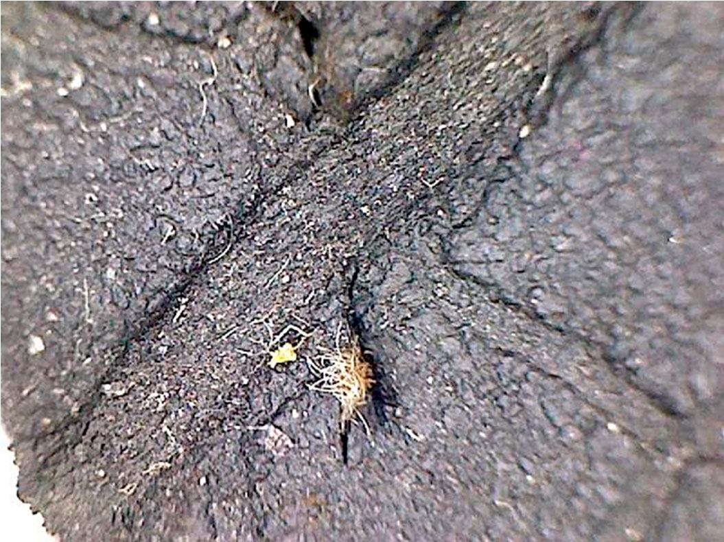 Дефект шины