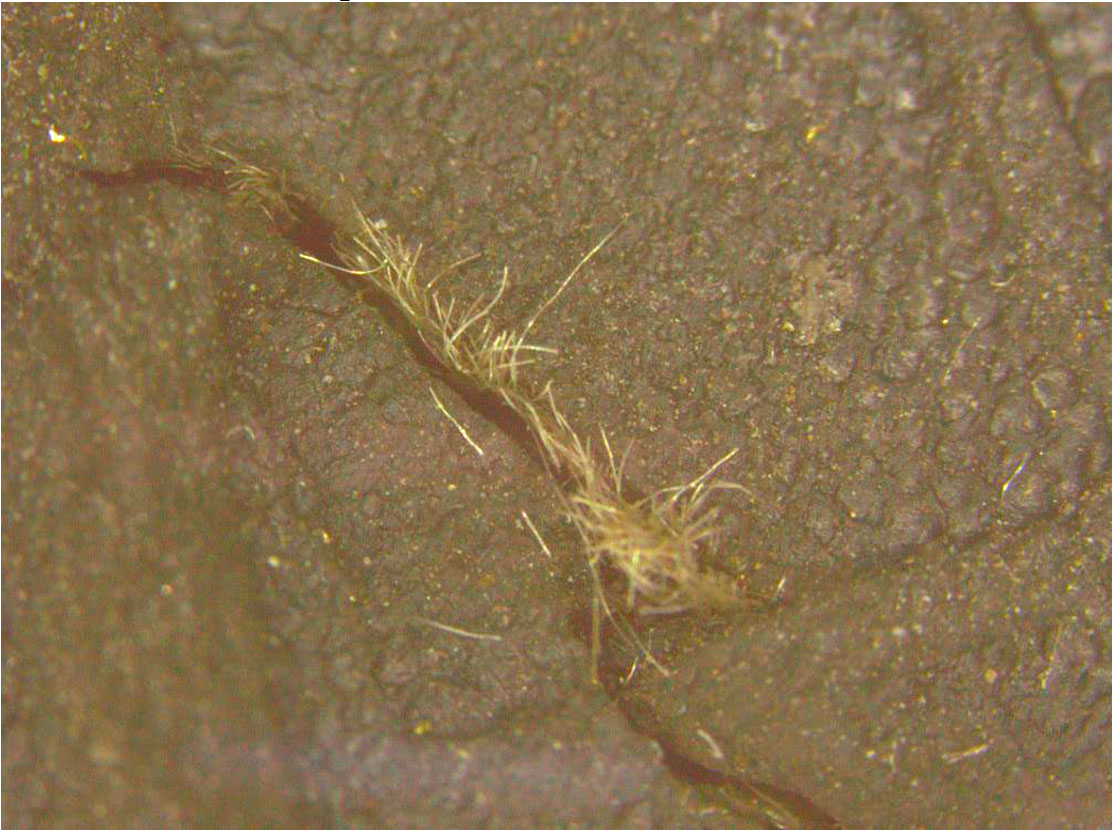 Дефект шины