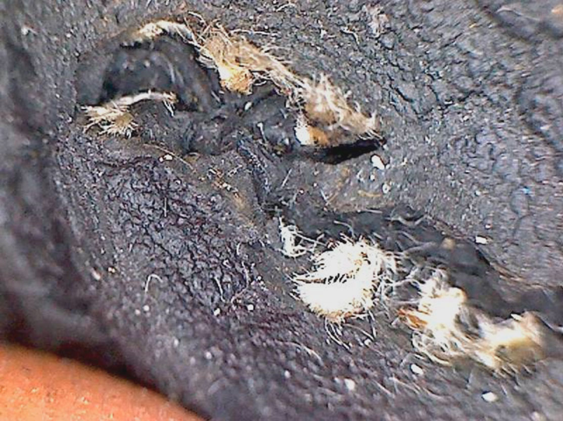 Дефект шины