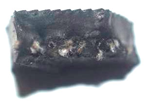 Дефект шины