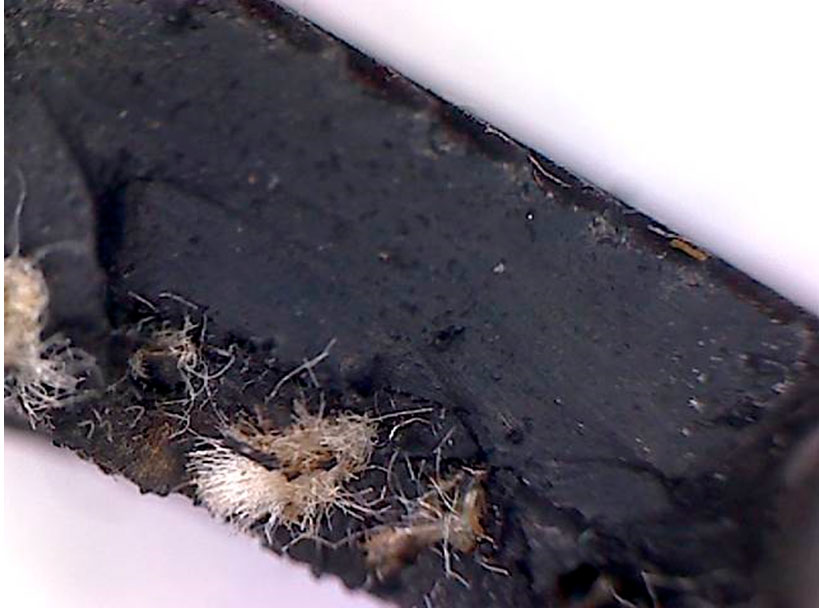 Дефект шины