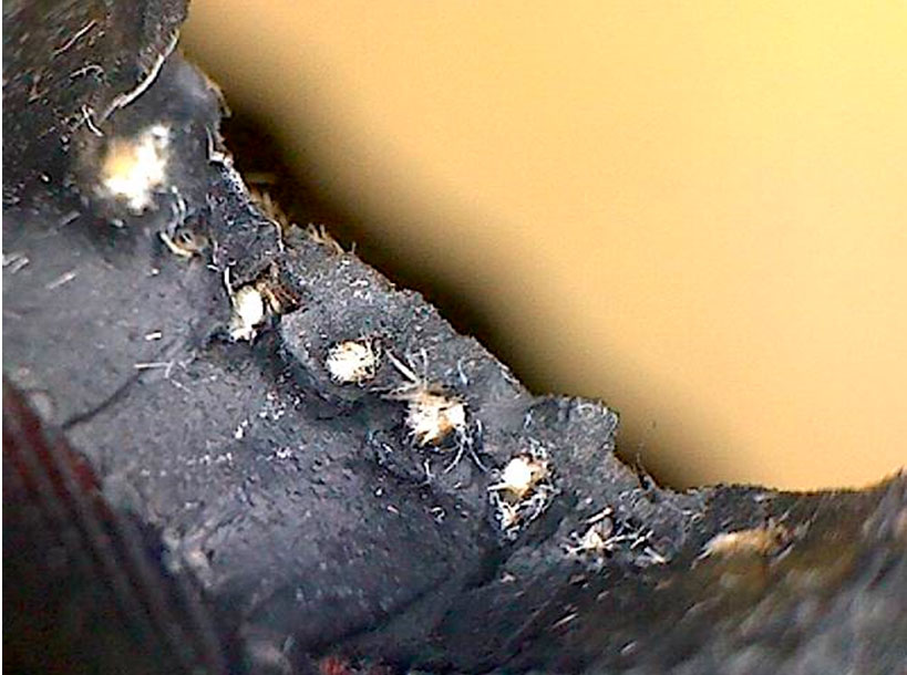 Дефект шины