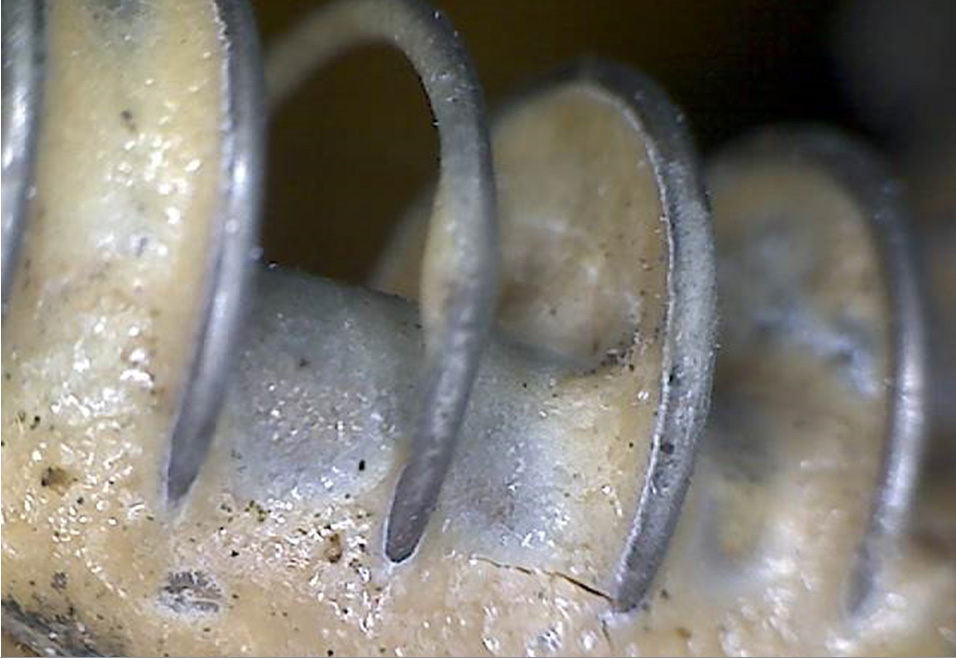 Сгорел автомобиль из-за неисправности газового оборудования