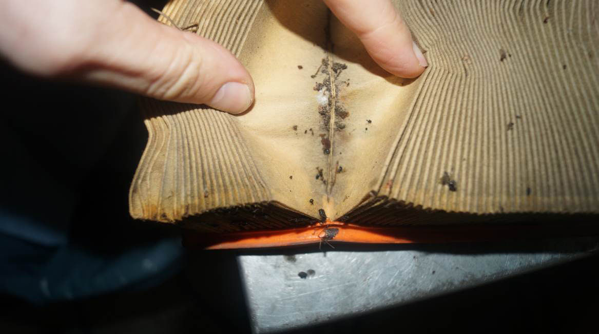 Гидроудар в двигателе